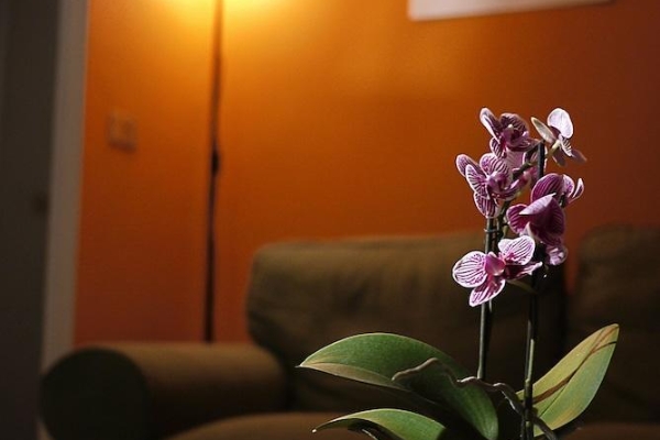 Hotel Immagineazione B&B